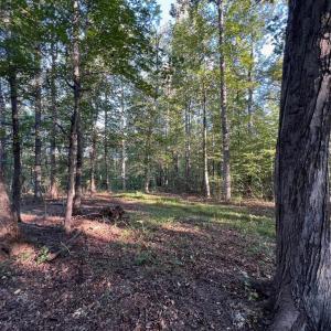 Photo #3 of 14285 WOODS VIEW LN, REVA, VA 10.1 acres