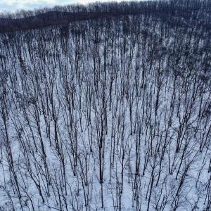 Photo #4 of CUBBAGE HOLLOW RD, LOT 75 - 40.55 ACRES, STANLEY, VA 40.6 acres