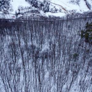 Photo #14 of CUBBAGE HOLLOW RD, LOT 75 - 40.55 ACRES, STANLEY, VA 40.6 acres