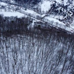 Photo #15 of CUBBAGE HOLLOW RD, LOT 75 - 40.55 ACRES, STANLEY, VA 40.6 acres