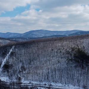 Photo #20 of CUBBAGE HOLLOW RD, LOT 75 - 40.55 ACRES, STANLEY, VA 40.6 acres