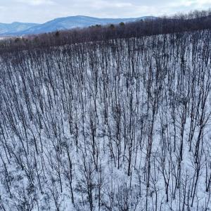 Photo #2 of CUBBAGE HOLLOW RD, LOT 75 - 40.55 ACRES, STANLEY, VA 40.6 acres