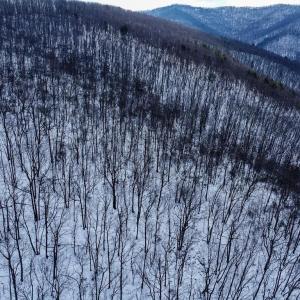 Photo #5 of CUBBAGE HOLLOW RD, LOT 75 - 40.55 ACRES, STANLEY, VA 40.6 acres