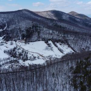 Photo #8 of CUBBAGE HOLLOW RD, LOT 75 - 40.55 ACRES, STANLEY, VA 40.6 acres