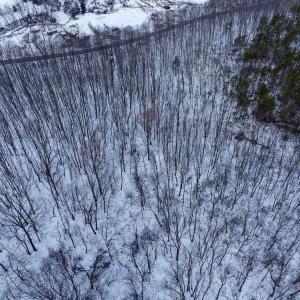 Photo #9 of CUBBAGE HOLLOW RD, LOT 75 - 40.55 ACRES, STANLEY, VA 40.6 acres