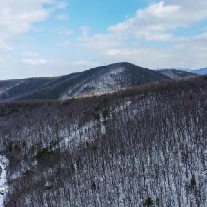 Photo #12 of CUBBAGE HOLLOW RD, LOT 75 - 40.55 ACRES, STANLEY, VA 40.6 acres