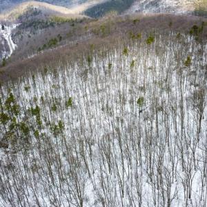 Photo #13 of CUBBAGE HOLLOW RD, LOT 75 - 40.55 ACRES, STANLEY, VA 40.6 acres