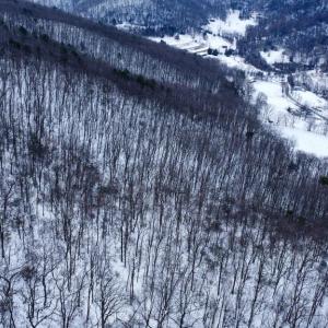 Photo #16 of CUBBAGE HOLLOW RD, LOT 75 - 40.55 ACRES, STANLEY, VA 40.6 acres