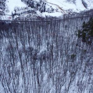 Photo #17 of CUBBAGE HOLLOW RD, LOT 75 - 40.55 ACRES, STANLEY, VA 40.6 acres