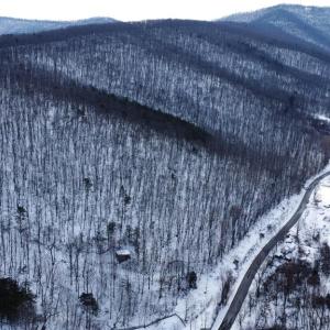 Photo #23 of CUBBAGE HOLLOW RD, LOT 75 - 40.55 ACRES, STANLEY, VA 40.6 acres