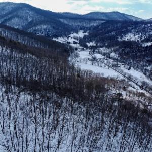 Photo #14 of CUBBAGE HOLLOW RD, LOT 75 - 40.55 ACRES, STANLEY, VA 40.6 acres