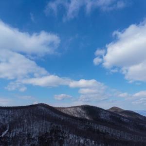 Photo #20 of CUBBAGE HOLLOW RD, LOT 75 - 40.55 ACRES, STANLEY, VA 40.6 acres