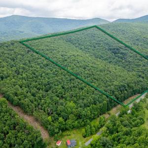 Photo #2 of CUBBAGE HOLLOW RD, LOT 75 - 40.55 ACRES, STANLEY, VA 40.6 acres