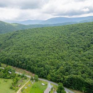 Photo #8 of CUBBAGE HOLLOW RD, LOT 75 - 40.55 ACRES, STANLEY, VA 40.6 acres