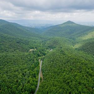 Photo #11 of CUBBAGE HOLLOW RD, LOT 75 - 40.55 ACRES, STANLEY, VA 40.6 acres