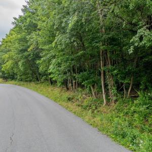 Photo #13 of CUBBAGE HOLLOW RD, LOT 75 - 40.55 ACRES, STANLEY, VA 40.6 acres