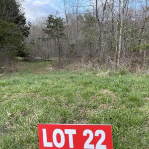 Lot 22 English Estates