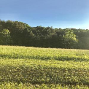 English Estates Lots 24, 26 and 27