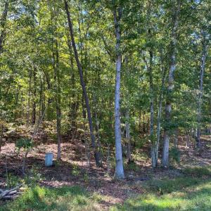 Photo #4 of CONSTITUTION HWY, LOCUST GROVE, VA 20.3 acres