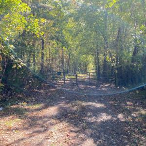 Photo #5 of CONSTITUTION HWY, LOCUST GROVE, VA 20.3 acres