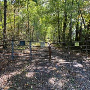 Photo #6 of CONSTITUTION HWY, LOCUST GROVE, VA 20.3 acres