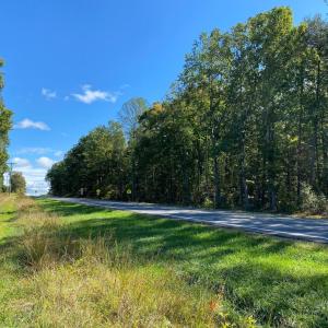 Photo #4 of CONSTITUTION HWY, LOCUST GROVE, VA 20.3 acres