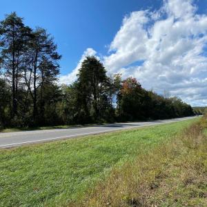 Photo #10 of CONSTITUTION HWY, LOCUST GROVE, VA 20.3 acres