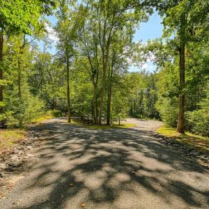 Photo #18 of 15515 CHESTNUT TREE CT, MINERAL, VA 1.1 acres