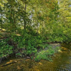 Photo #9 of 15515 CHESTNUT TREE CT, MINERAL, VA 1.1 acres
