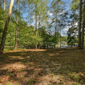 Photo #5 of 15515 CHESTNUT TREE CT, MINERAL, VA 1.1 acres