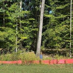 Photo #2 of PARKVIEW PL, MINERAL, VA 1.4 acres