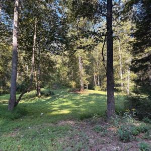 Photo #12 of PINE TORCH, MADISON, VA 3.0 acres