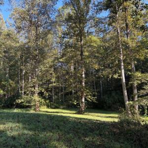 Photo #11 of PINE TORCH, MADISON, VA 3.0 acres