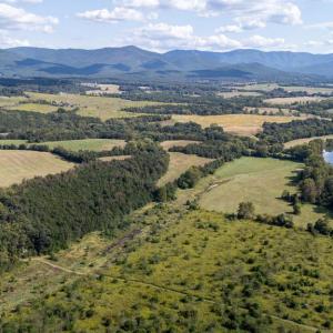 Photo #4 of CAVALIER RD, RILEYVILLE, VA 115.5 acres