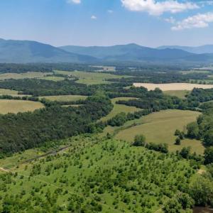 Photo #7 of CAVALIER RD, RILEYVILLE, VA 115.5 acres