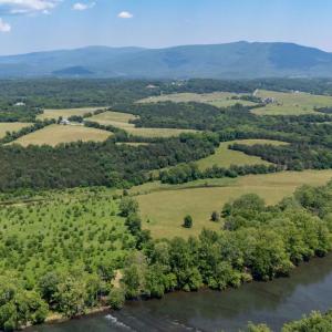 Photo #9 of CAVALIER RD, RILEYVILLE, VA 115.5 acres