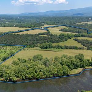 Photo #1 of CAVALIER RD, RILEYVILLE, VA 115.5 acres