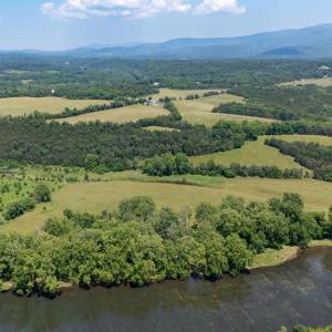 Photo #10 of CAVALIER RD, RILEYVILLE, VA 115.5 acres