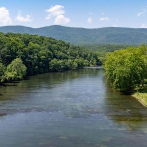 Photo #13 of CAVALIER RD, RILEYVILLE, VA 115.5 acres