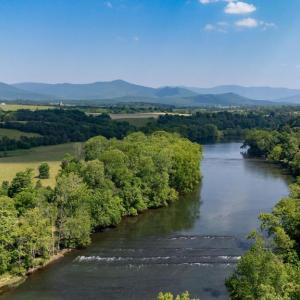 Photo #15 of CAVALIER RD, RILEYVILLE, VA 115.5 acres