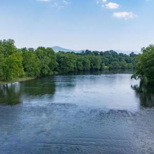 Photo #18 of CAVALIER RD, RILEYVILLE, VA 115.5 acres