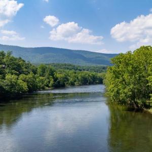Photo #21 of CAVALIER RD, RILEYVILLE, VA 115.5 acres