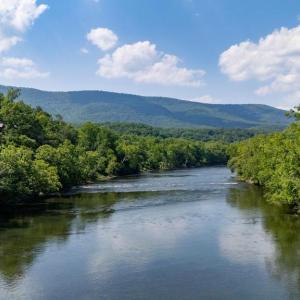 Photo #22 of CAVALIER RD, RILEYVILLE, VA 115.5 acres