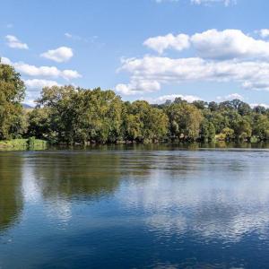 Photo #24 of CAVALIER RD, RILEYVILLE, VA 115.5 acres