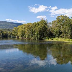 Photo #26 of CAVALIER RD, RILEYVILLE, VA 115.5 acres