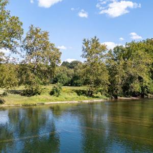 Photo #28 of CAVALIER RD, RILEYVILLE, VA 115.5 acres