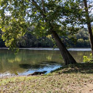 Photo #31 of CAVALIER RD, RILEYVILLE, VA 115.5 acres
