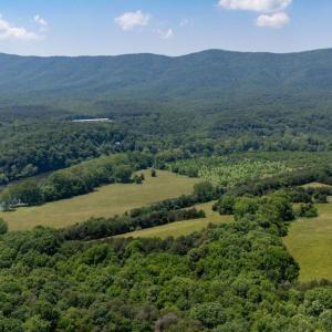 Photo #41 of CAVALIER RD, RILEYVILLE, VA 115.5 acres