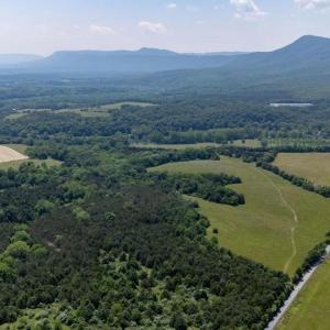 Photo #47 of CAVALIER RD, RILEYVILLE, VA 115.5 acres