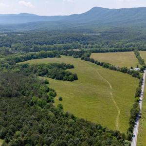 Photo #49 of CAVALIER RD, RILEYVILLE, VA 115.5 acres